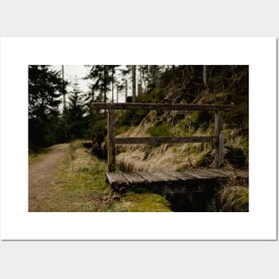 Harz Forest Bridge Posters and Art